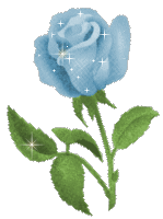 belle fleure